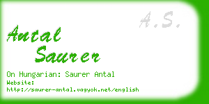 antal saurer business card